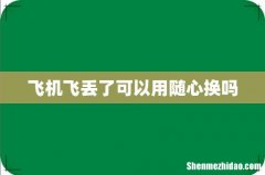 飞机飞丢了可以用随心换吗