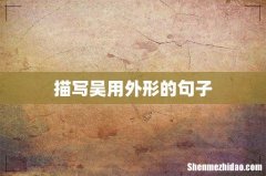 描写吴用外形的句子