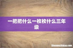 一把把什么一枚枚什么三年级