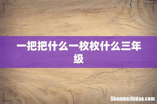 一把把什么一枚枚什么三年级