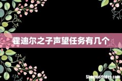 霍迪尔之子声望任务有几个