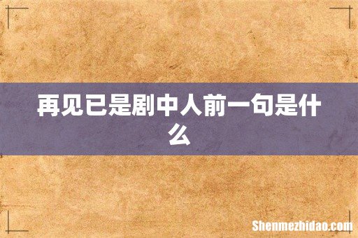 再见已是剧中人前一句是什么