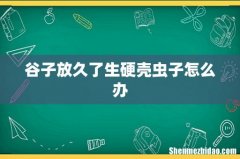 谷子放久了生硬壳虫子怎么办