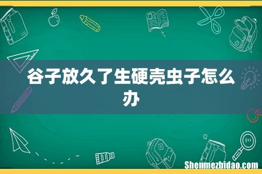 谷子放久了生硬壳虫子怎么办