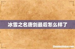 冰雪之名唐剑最后怎么样了