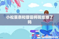 小松菜奈和菅田将晖结婚了吗