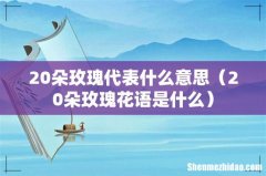 20朵玫瑰花语是什么 20朵玫瑰代表什么意思