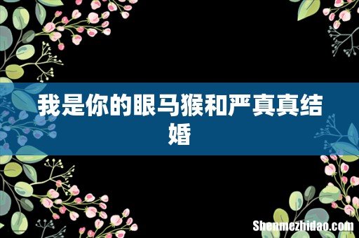 我是你的眼马猴和严真真结婚