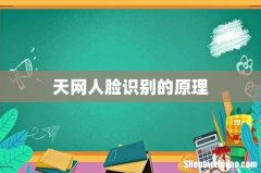 天网人脸识别的原理