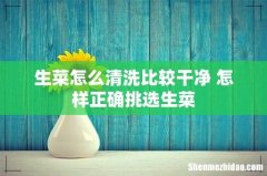 生菜怎么清洗比较干净 怎样正确挑选生菜