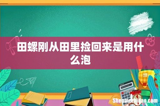 田螺刚从田里捡回来是用什么泡