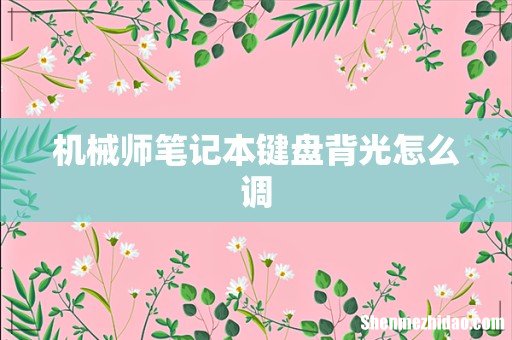 机械师笔记本键盘背光怎么调