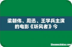 梁朝伟、周迅、王学兵主演的电影《听风者》今