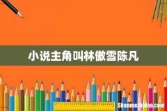 小说主角叫林傲雪陈凡