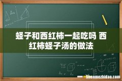 蛏子和西红柿一起吃吗 西红柿蛏子汤的做法