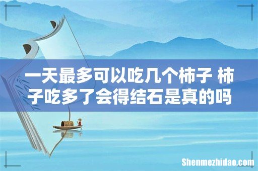 一天最多可以吃几个柿子 柿子吃多了会得结石是真的吗