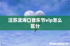 汪苏泷海口音乐节vip怎么区分