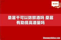 桑葚干可以防醉酒吗 桑葚有助提高酒量吗