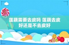 莲藕需要去皮吗 莲藕去皮好还是不去皮好