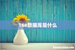 16e数据库是什么