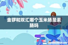 金锣和双汇哪个玉米肠是素肠吗