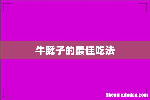 牛腱子的最佳吃法