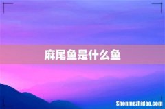 麻尾鱼是什么鱼