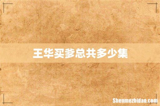 王华买爹总共多少集