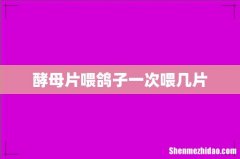 酵母片喂鸽子一次喂几片