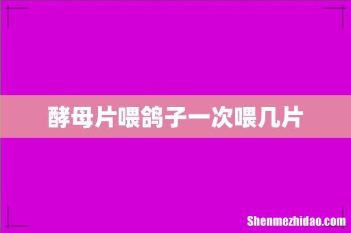 酵母片喂鸽子一次喂几片