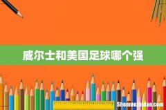 威尔士和美国足球哪个强