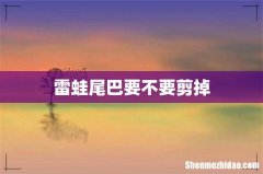 雷蛙尾巴要不要剪掉