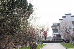 无锡梅村怎么样啊 无锡梅村地理位置怎么样