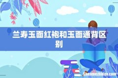 兰寿玉面红袍和玉面通背区别