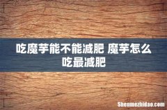 吃魔芋能不能减肥 魔芋怎么吃最减肥