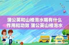 蒲公英和山楂泡水喝有什么作用和功效 蒲公英山楂泡水的禁忌