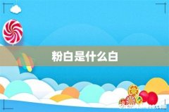 粉白是什么白