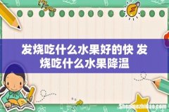 发烧吃什么水果好的快 发烧吃什么水果降温