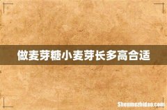 做麦芽糖小麦芽长多高合适