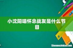 小沈阳唱怀念战友是什么节目