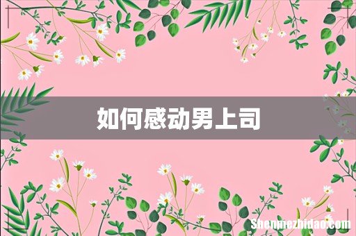 如何感动男上司