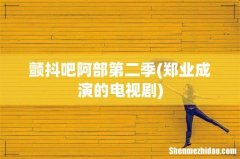 郑业成演的电视剧 颤抖吧阿部第二季