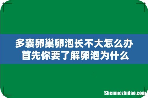 多囊卵巢卵泡长不大怎么办 首先你要了解卵泡为什么长不大！