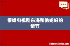 银婚电视剧东海和他媳妇的情节