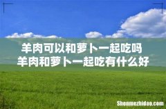 羊肉可以和萝卜一起吃吗 羊肉和萝卜一起吃有什么好处