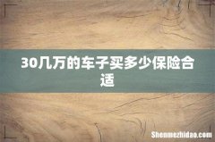30几万的车子买多少保险合适