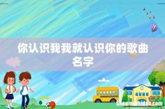 你认识我我就认识你的歌曲名字