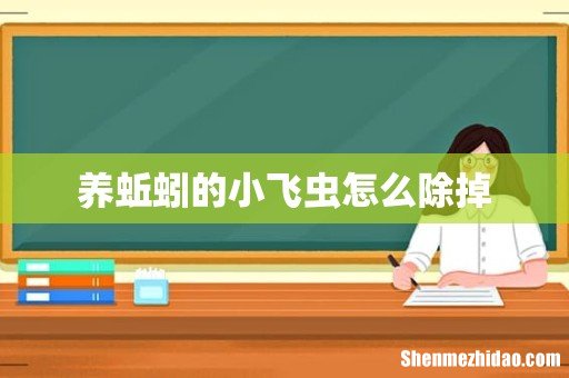 养蚯蚓的小飞虫怎么除掉