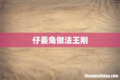 仔姜兔做法王刚