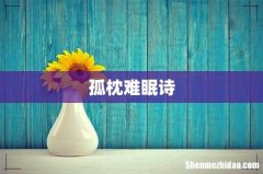 孤枕难眠诗